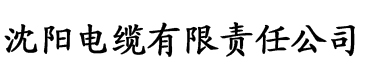 斗罗大陆小舞同人黄漫电缆厂logo